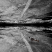 Thomas-Mortier-de-Fontaine_Wolkenkamele_Foto-auf-Fotoboard_40x60cm