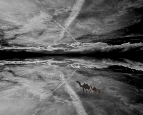 Thomas-Mortier-de-Fontaine_Wolkenkamele_Foto-auf-Fotoboard_40x60cm